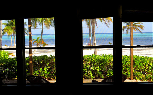room view