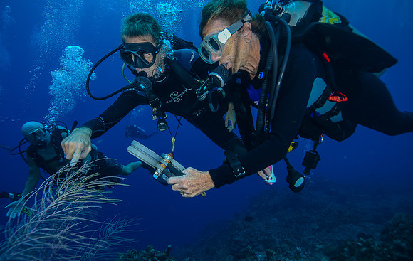 using magnifying glasses on Gorgonian bushes