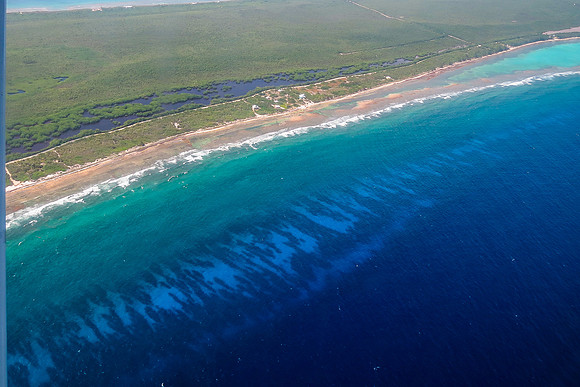 view of Little Cayman coast line