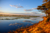 Chobe River, Botswana