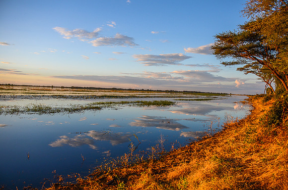Chobe River, Botswana
