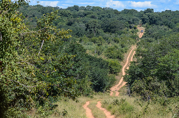 Game drive terrain...