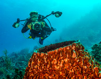 Little Cayman dive trip- Nov. 2014
